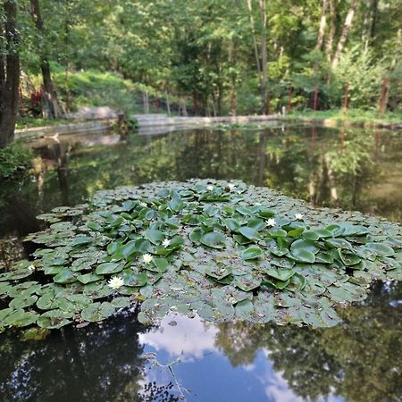 Pensiunea Stefania Brebu Minastirei Exteriér fotografie