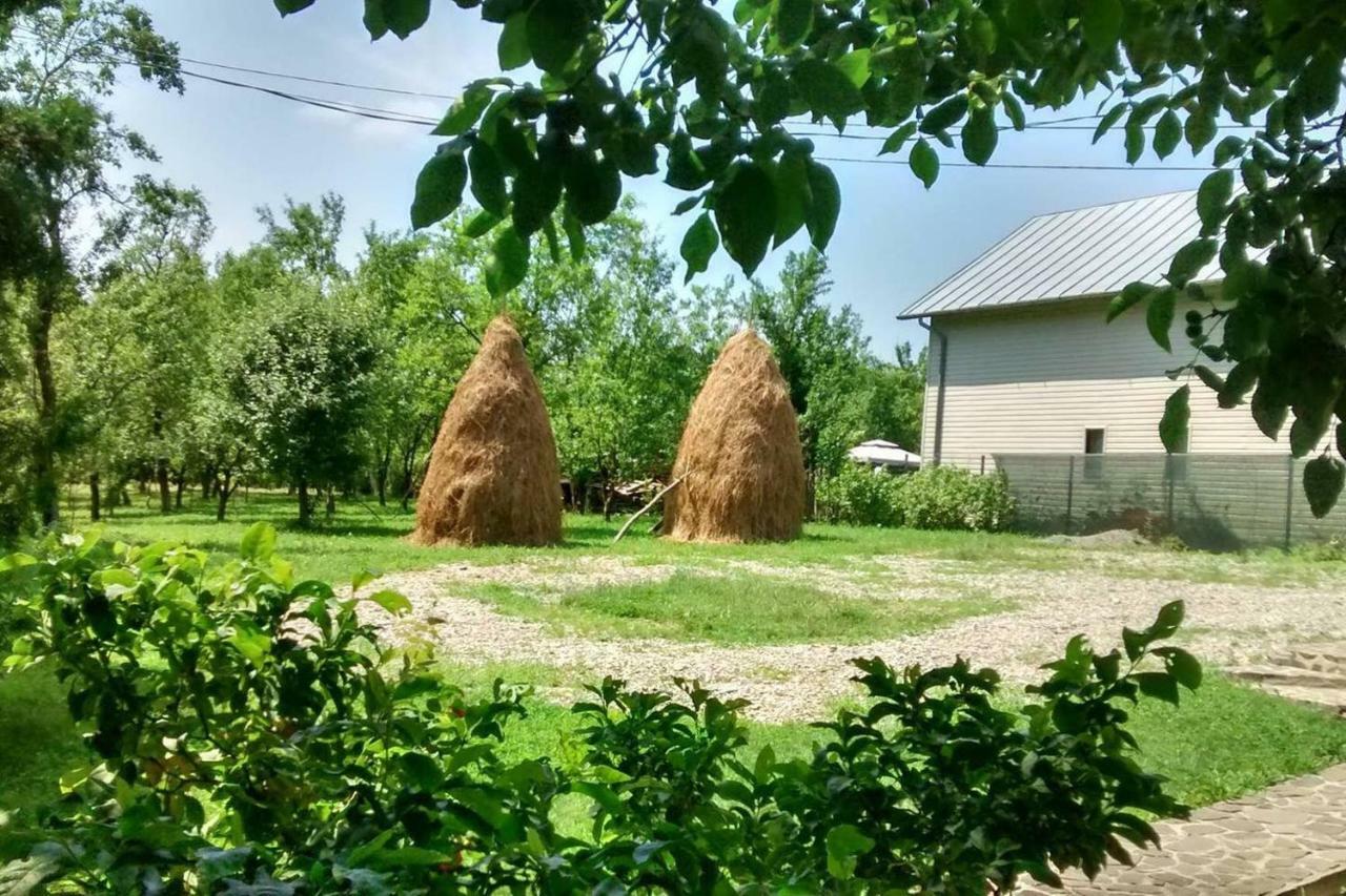 Pensiunea Stefania Brebu Minastirei Exteriér fotografie